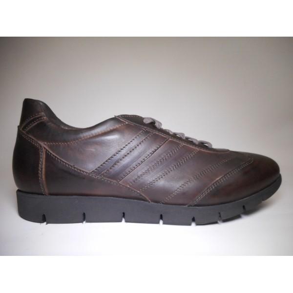 Petrocchi Scarpa Uomo Scarpa Moro Petrocchi Scarpa Uomo Scarpa Moro